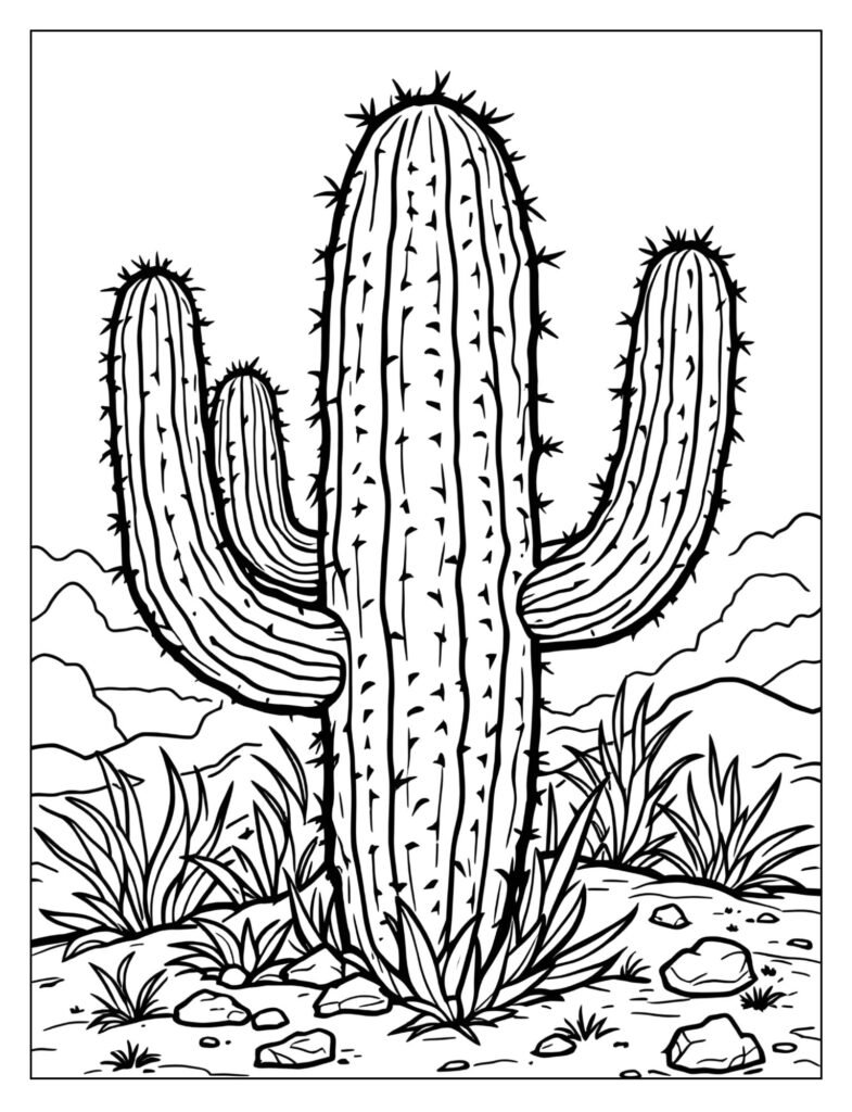 A drawing of a cactus with sharp spikes.