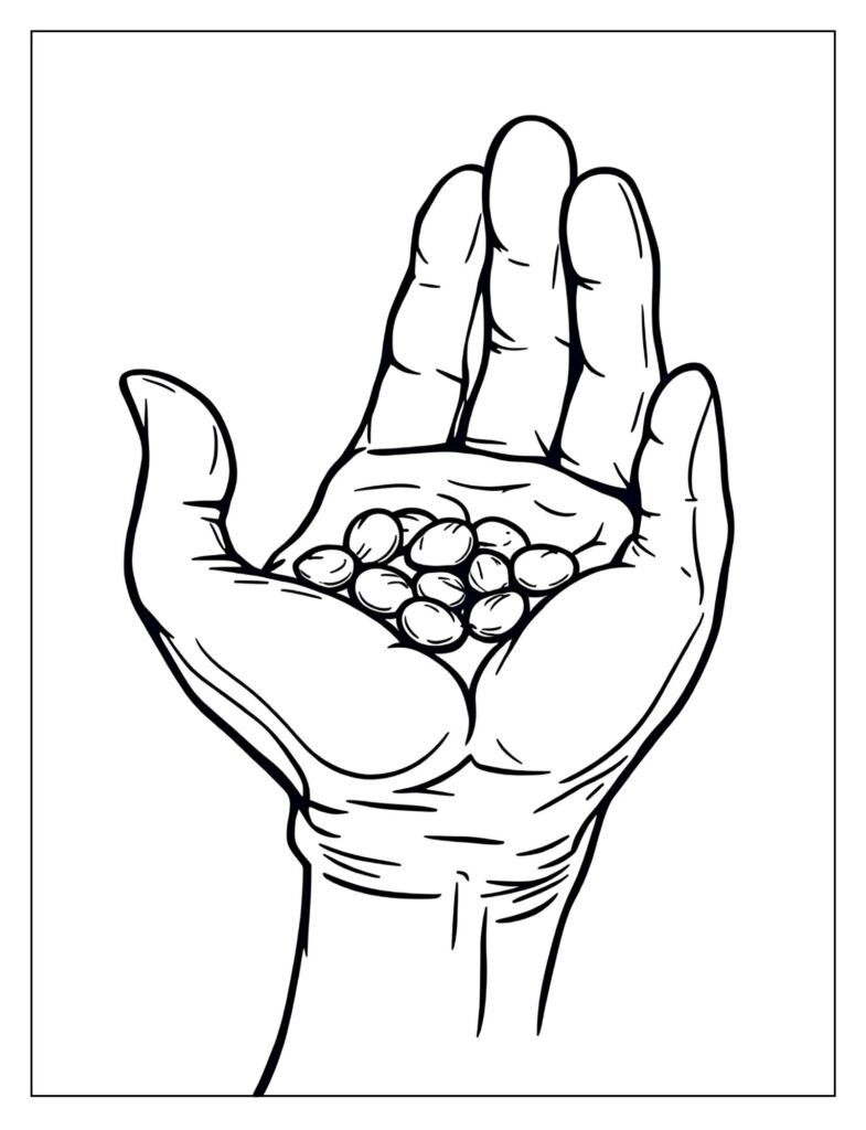 A hand holding a few small seeds.