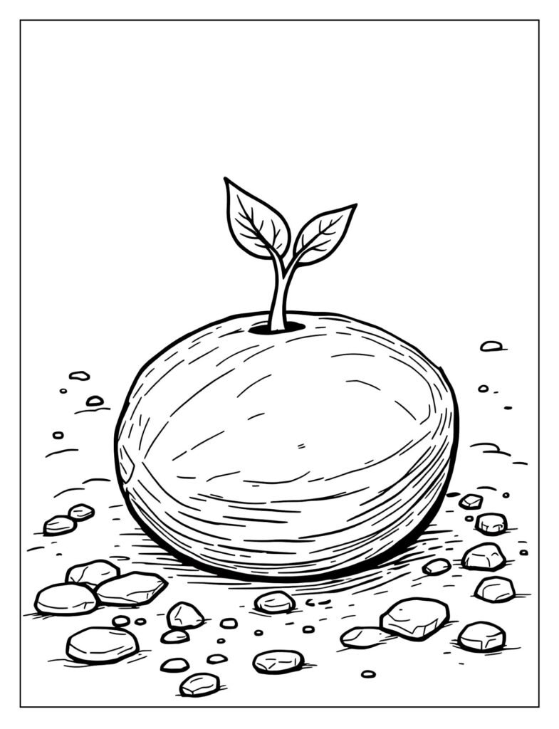 A small seed with a tiny sprout.