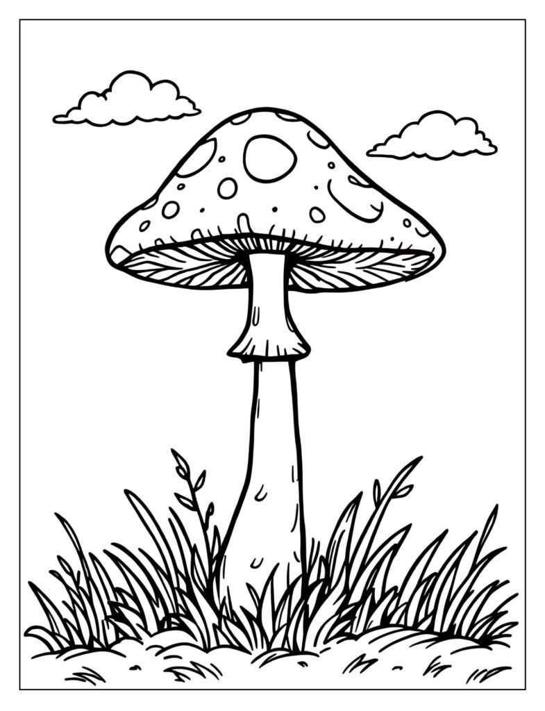 A tall and thin mushroom standing alone.