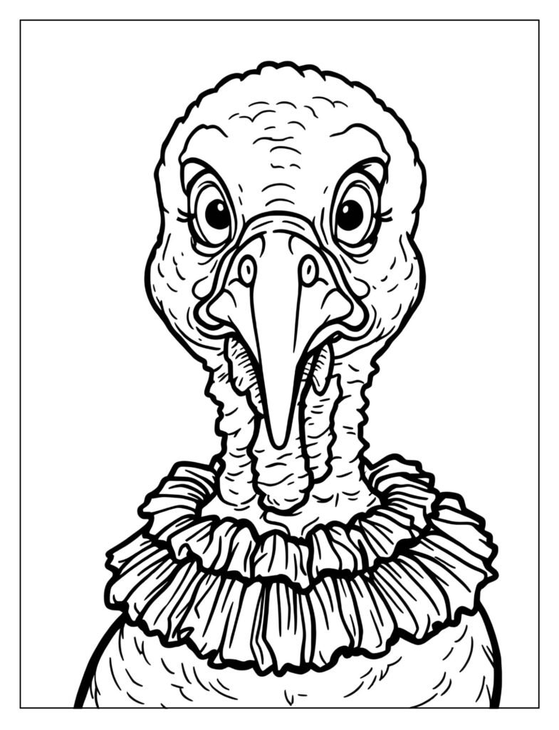 Close-up of a male turkey's head, neck, and iridescent ruffled feathers at the base.