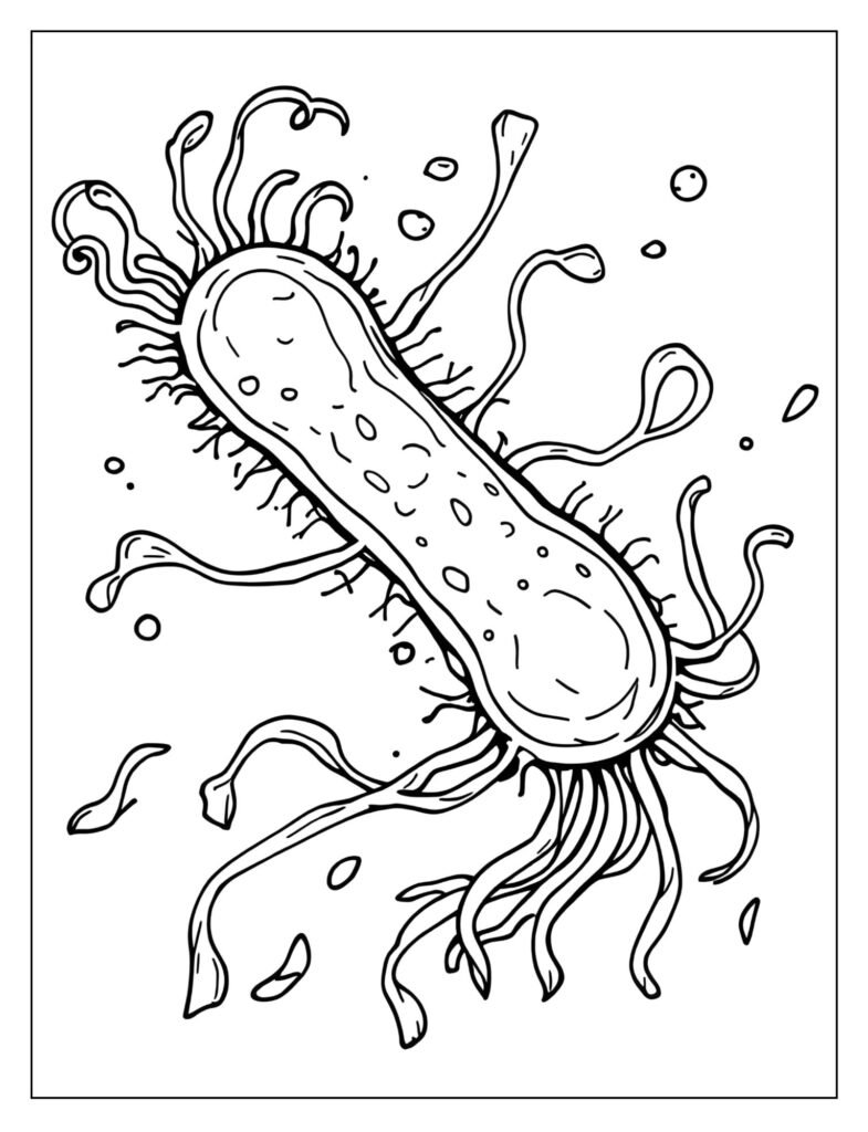 Detailed drawing of rod-shaped bacteria with long, wavy flagella (tails) swimming quickly.