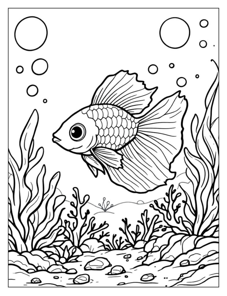 A betta fish with its reflection in the water below it.