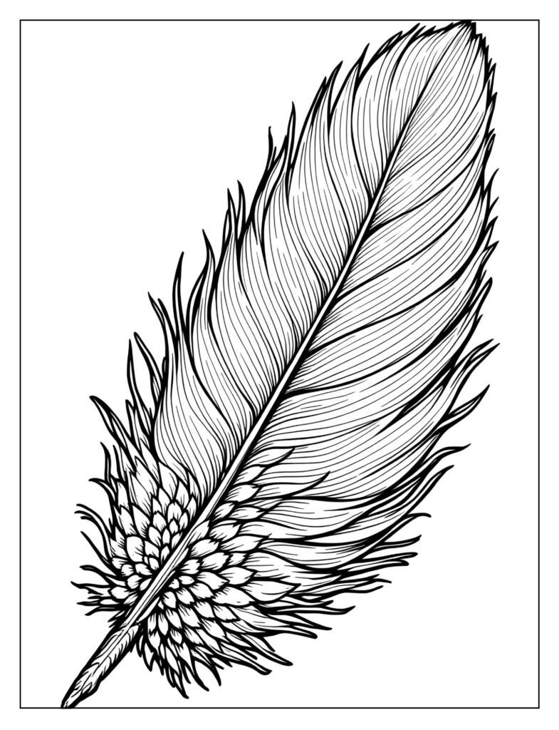 Extreme close-up of a single, long turkey feather showing fine parallel strands and a downy base.