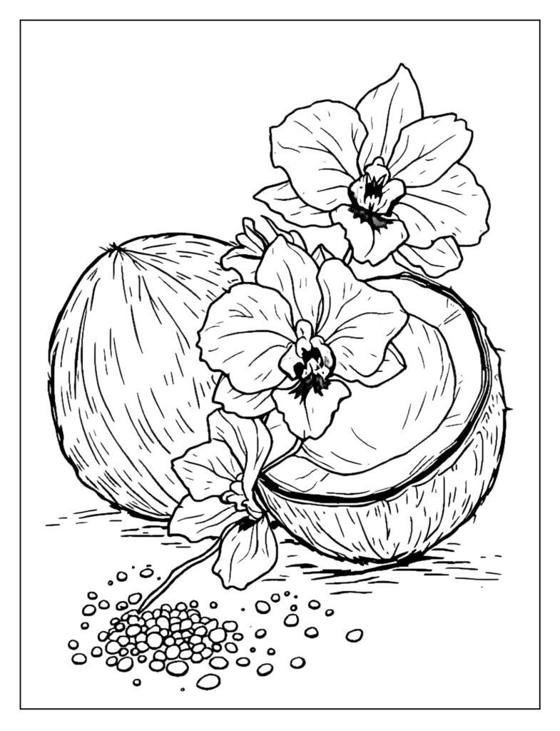 Simple composition showing a whole coconut resting next to a sprig of blooming Orchids and sand.