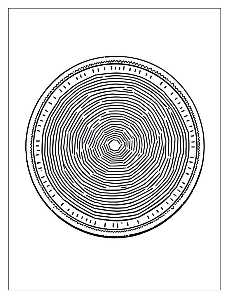 Outline of a coin showing only the raised texture lines that would appear from a pencil rubbing.