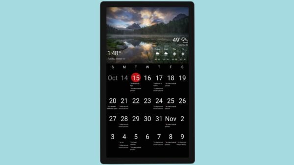 Skylight Calendar VS Dakboard: Which One Should You Pick In 2025