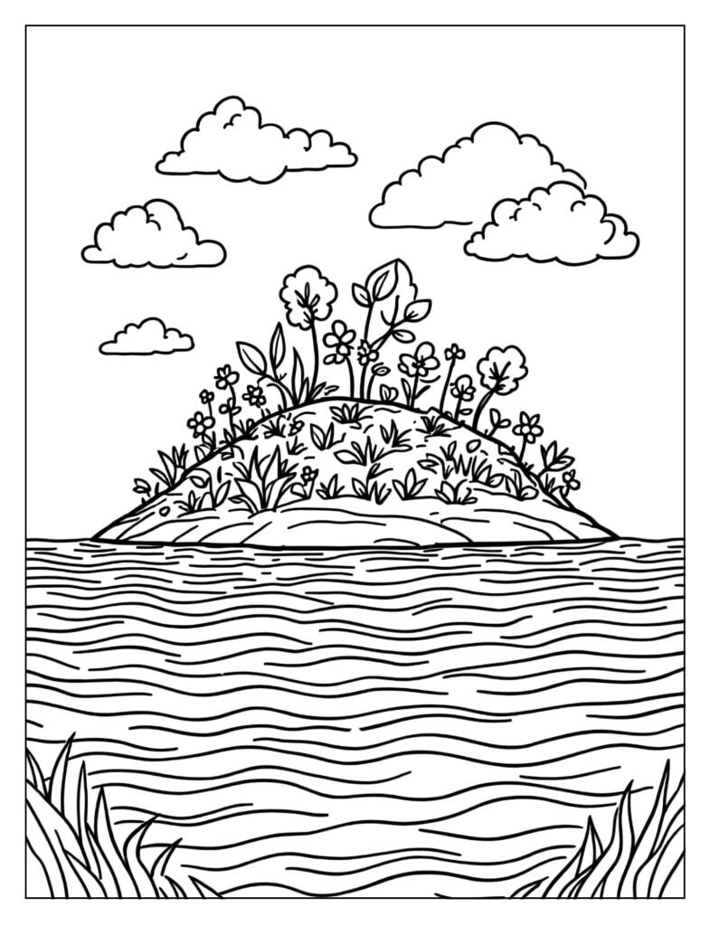 Dry land with plants and flowers beginning to sprout.