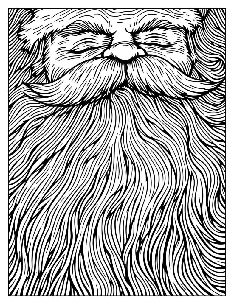 Extreme close-up of Santa's face, focusing almost entirely on the intricate, flowing lines and textures of his magnificent beard.