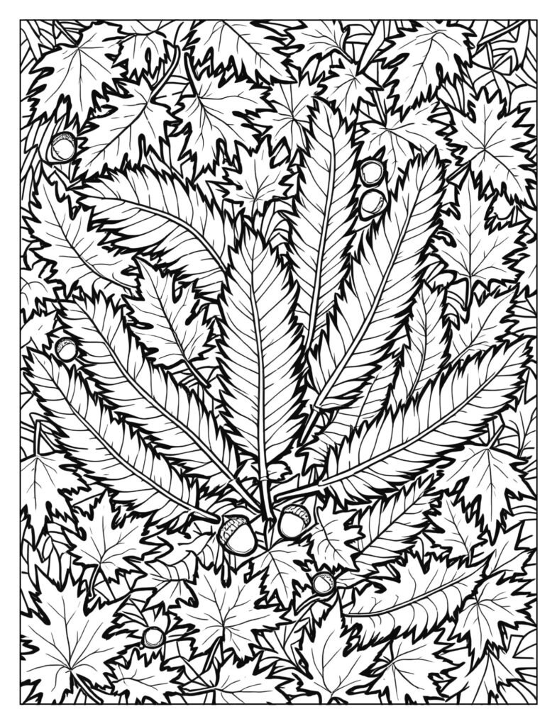 A collection of various turkey feathers scattered on the ground with autumn leaves and acorns.
