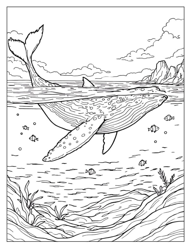 The iconic view of a humpback whale's huge, patterned fluke (tail fin) visible above the water surface as it dives.