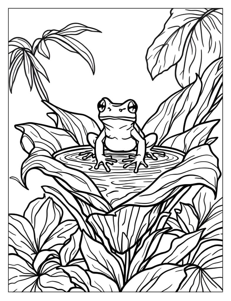 Drawing of a poison dart frog sitting near or inside the water reservoir of a large Bromeliad plant.