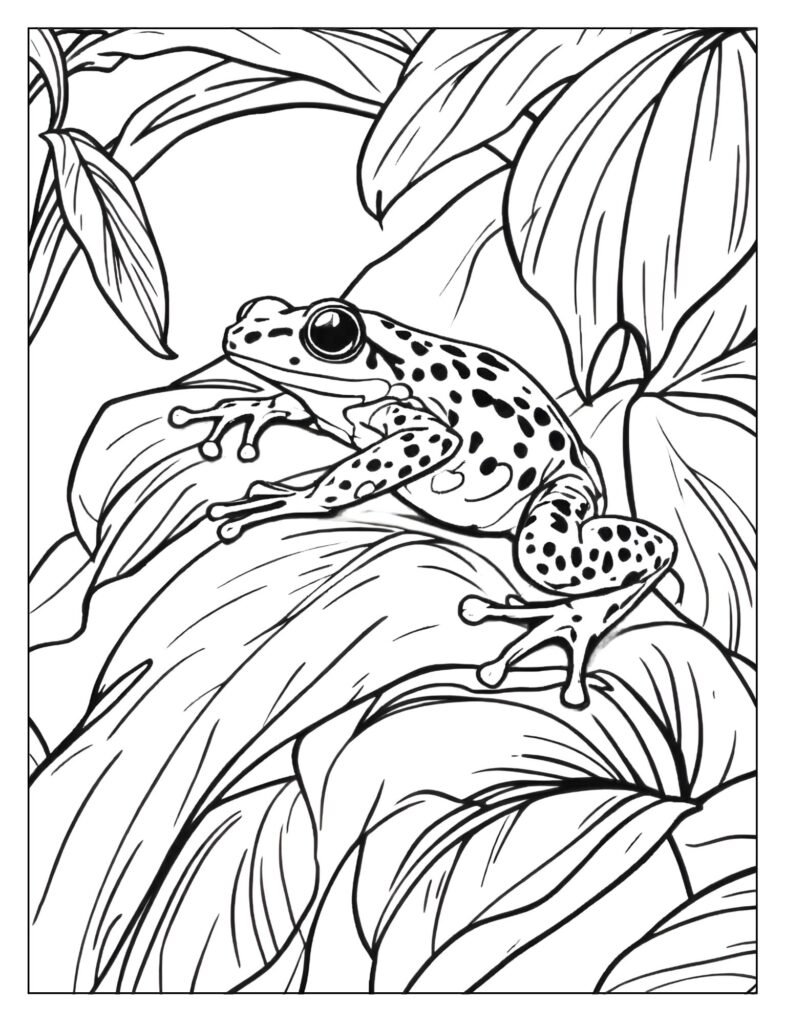 Poison dart frog sitting right on the curved edge of a tropical leaf, with its legs dangling down.