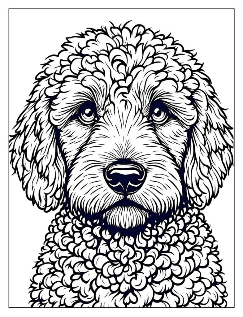A detailed close-up of a Goldendoodle's face.
