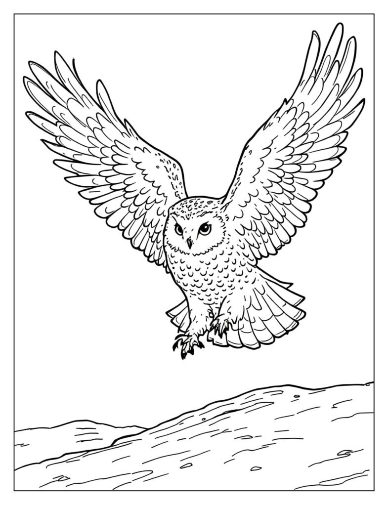 Hedwig the snowy owl drawn in the moment of landing, with her wings spread wide in a beautiful, powerful shape.
