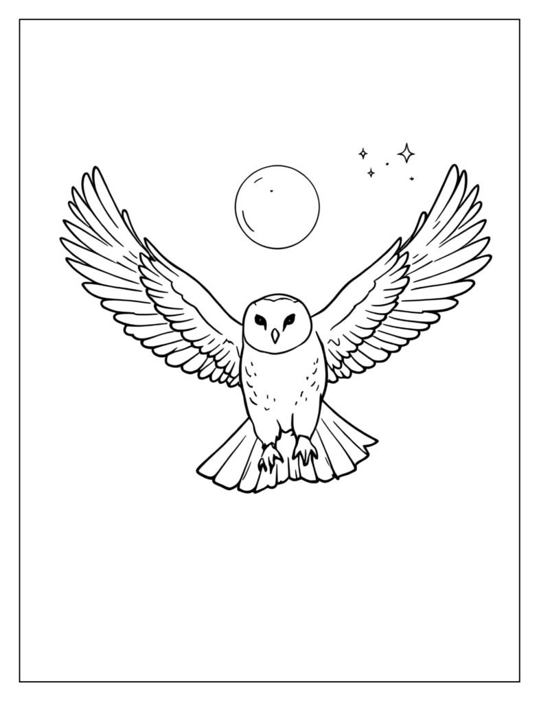 Hedwig the snowy owl flying under a clear, starry night sky with a large, magical full moon.