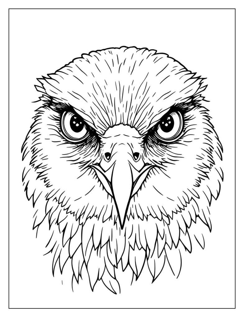 Close-up of Hedwig's face, specifically focusing on the smooth, curved structure of her beak and the soft feathers around her facial disc.
