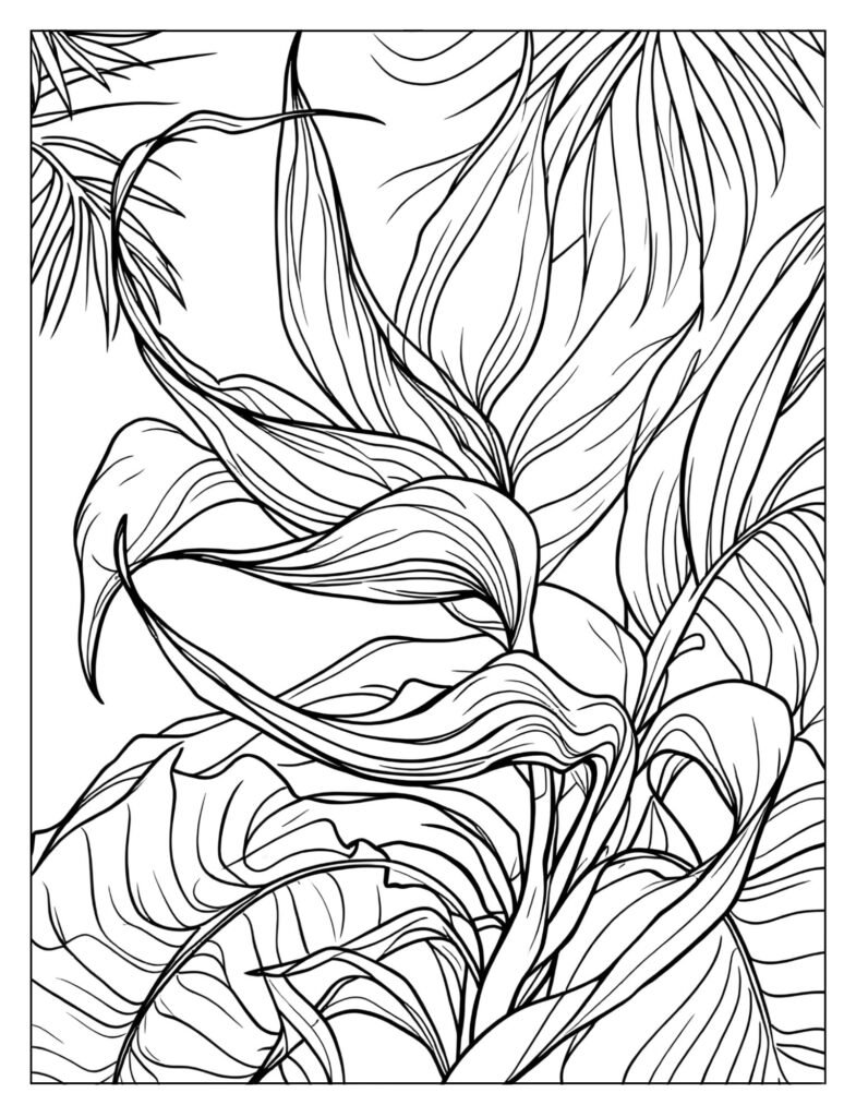 Drawing of the distinctive Heliconia flower, showing its brightly colored, hanging, boat-shaped bracts.