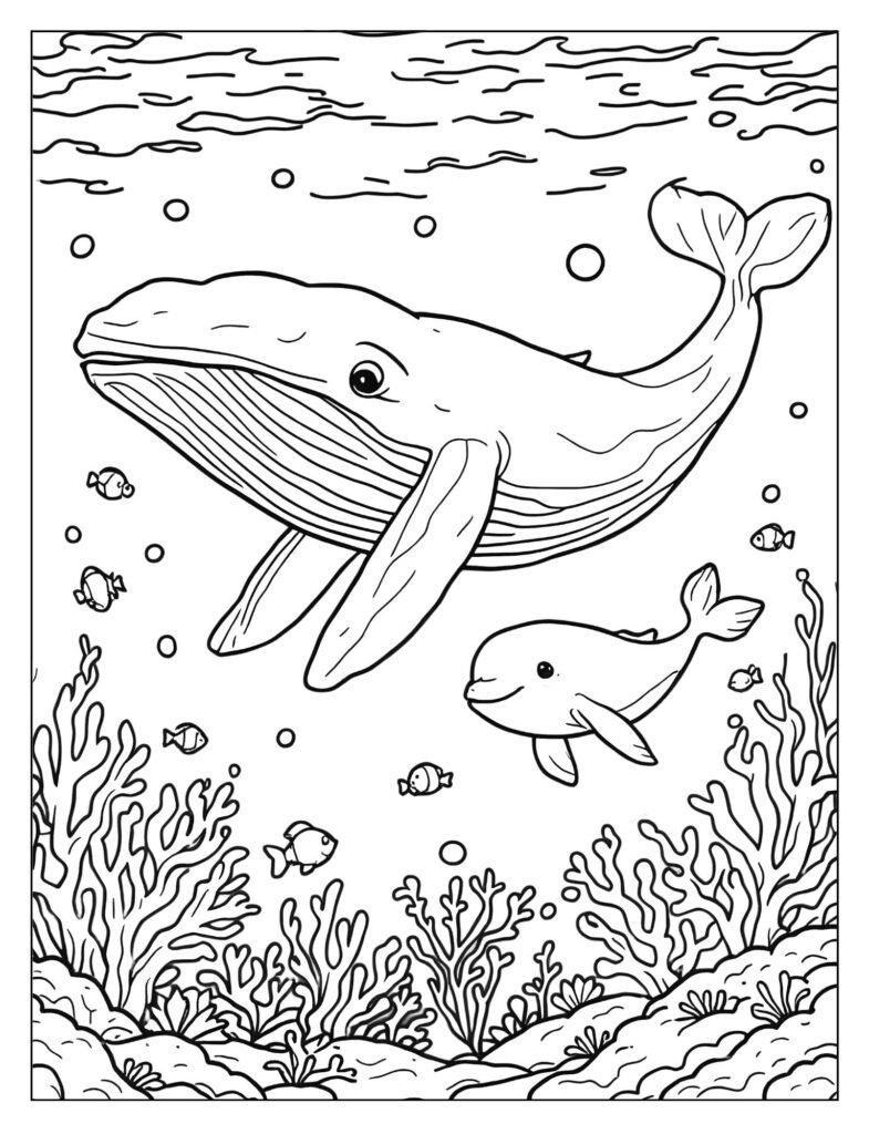 A large mother humpback whale swimming closely alongside a much smaller calf (baby whale).