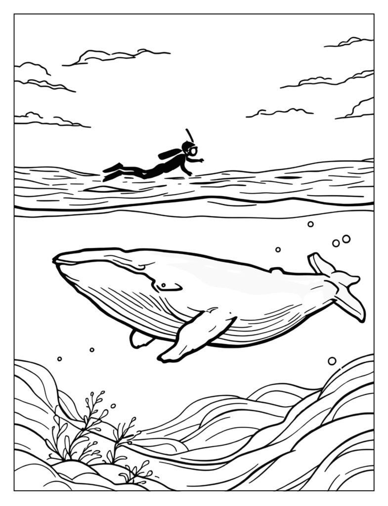 A small silhouetted human diver looking down at the massive, peaceful outline of a humpback whale far below.