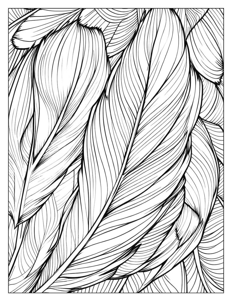 Close-up of overlapping breast feathers with lines suggesting shiny, metallic iridescence.