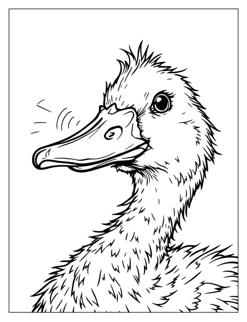 Close-up of Mother Duck's head with her beak wide open, calling out "Quack, quack, quack, quack," with sound waves drawn.
