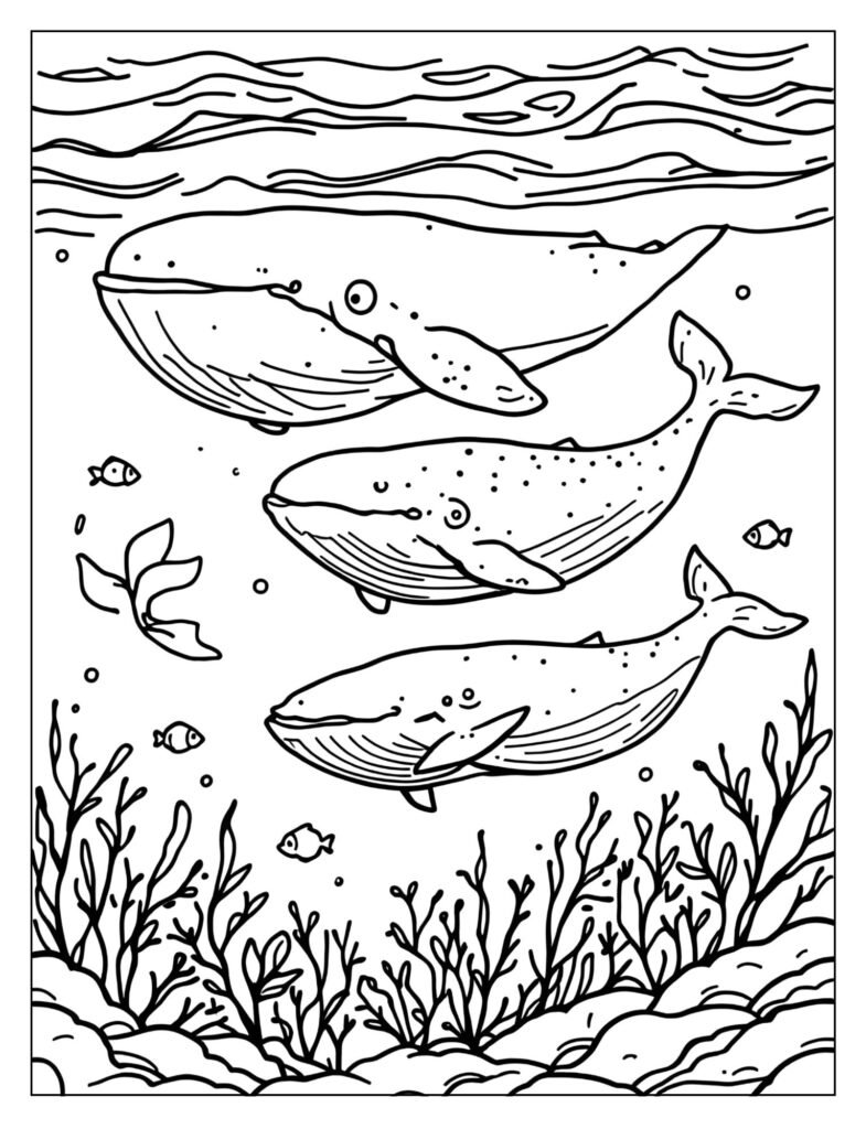 Three humpback whales swimming together side-by-side in a small pod just below the surface.