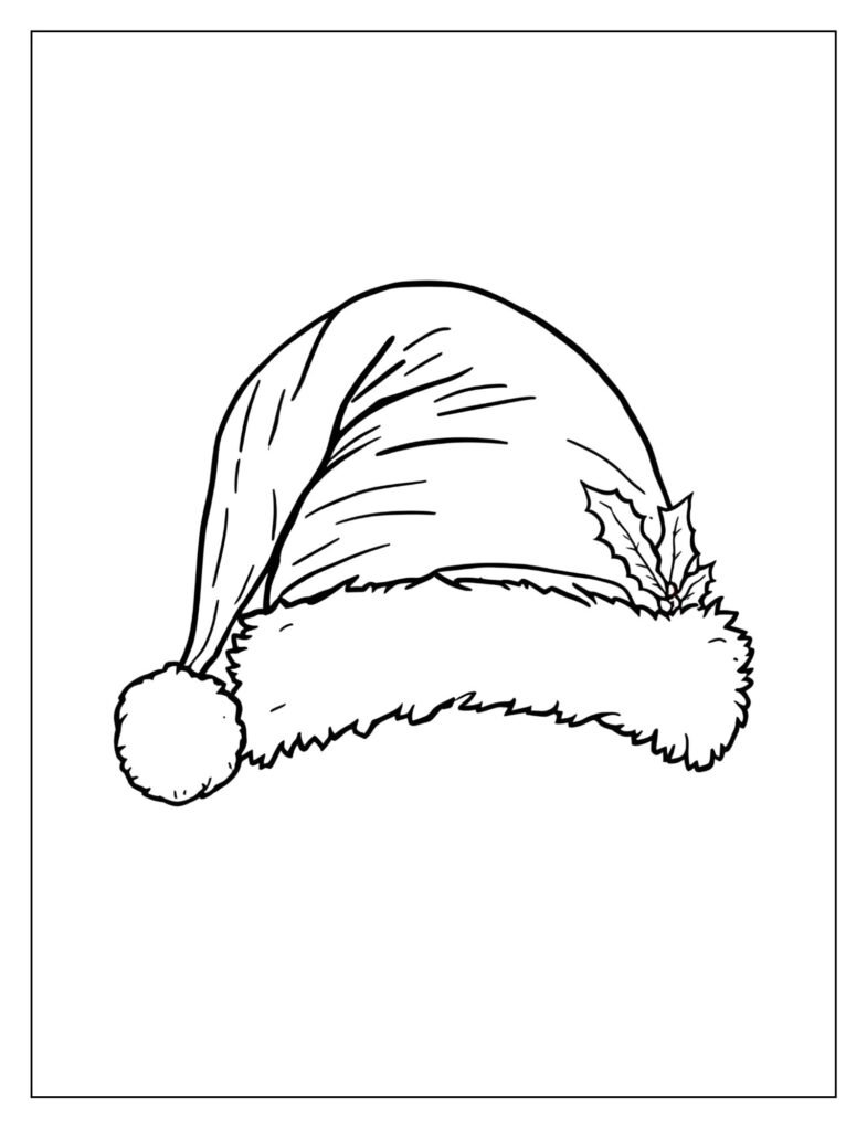 Close-up focusing on the red Santa hat, showing the fluffy white pom-pom, fur trim, and a small sprig of holly tucked into the side.