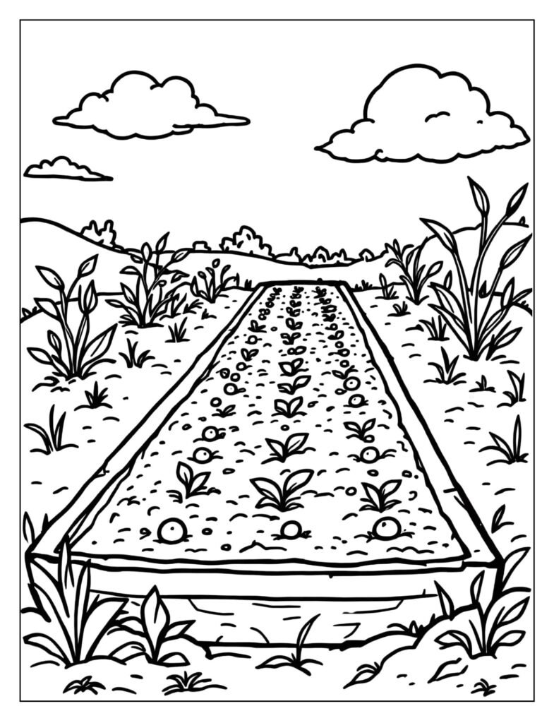 Seeds planted in a garden bed.