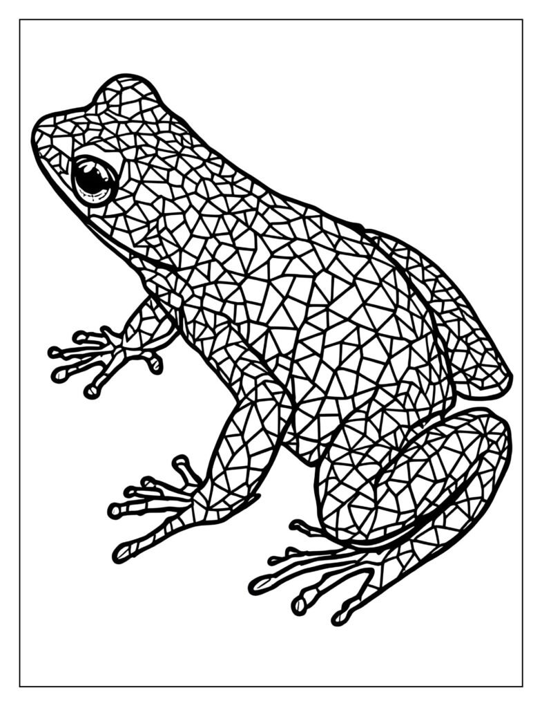 Drawing of a poison dart frog where its skin is covered in a simple, repeating geometric pattern (like triangles).