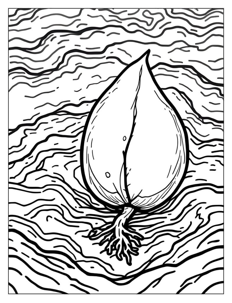 A drawing of a seed with a small root growing down.