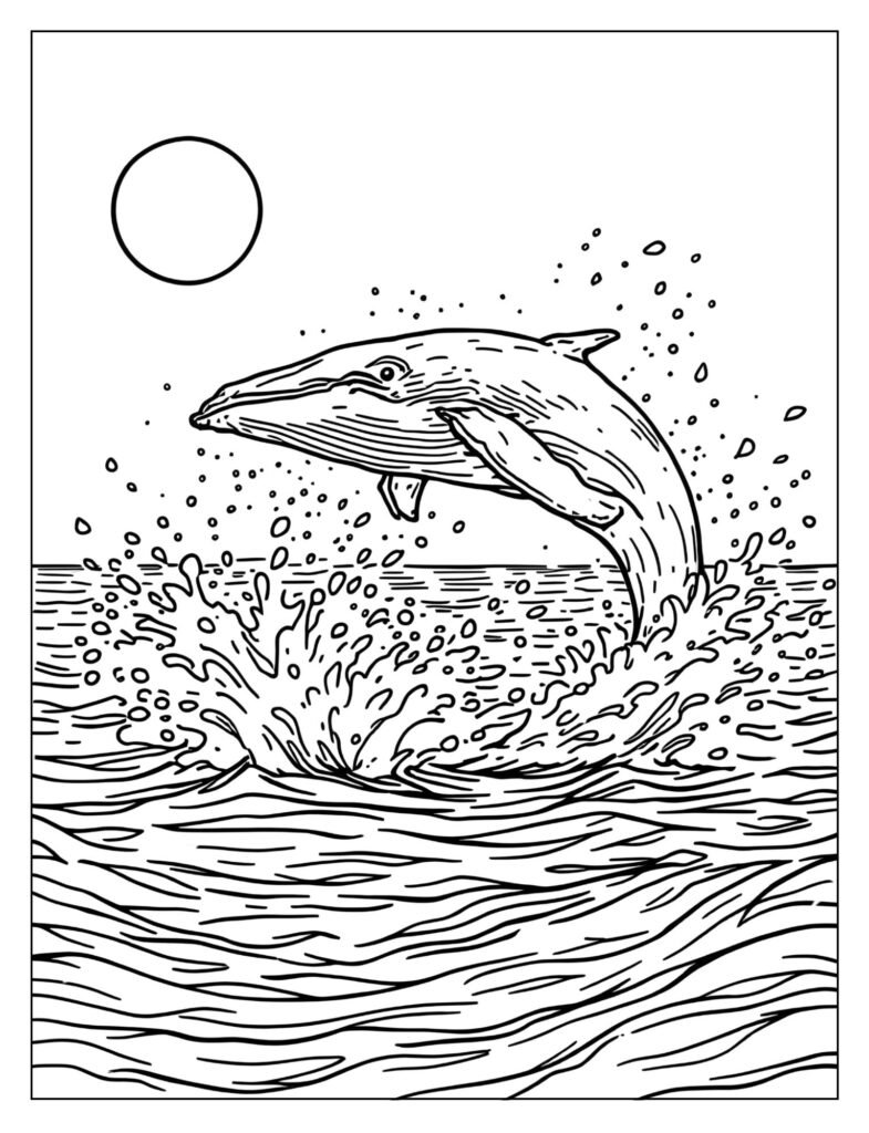 A magnificent humpback whale fully breaching (jumping) out of the ocean water with large splashes.