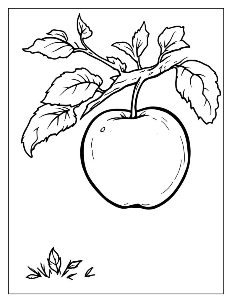 A drawing of a plant with a ripe fruit on a branch.