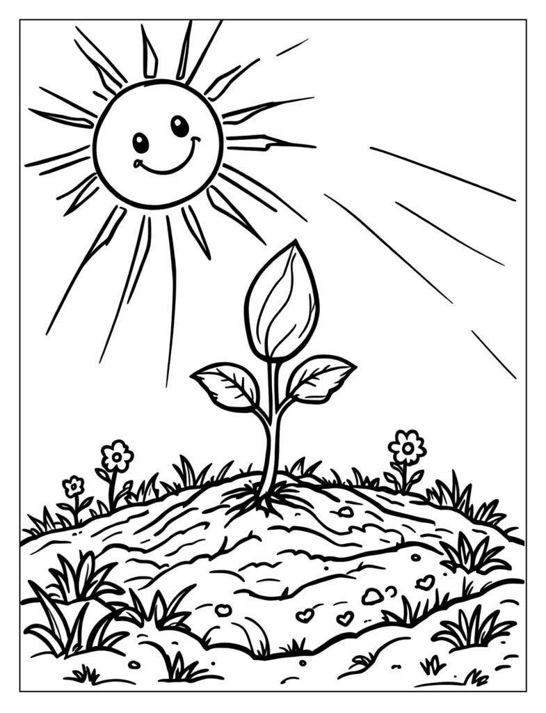 A seed in the soil with sun rays.

