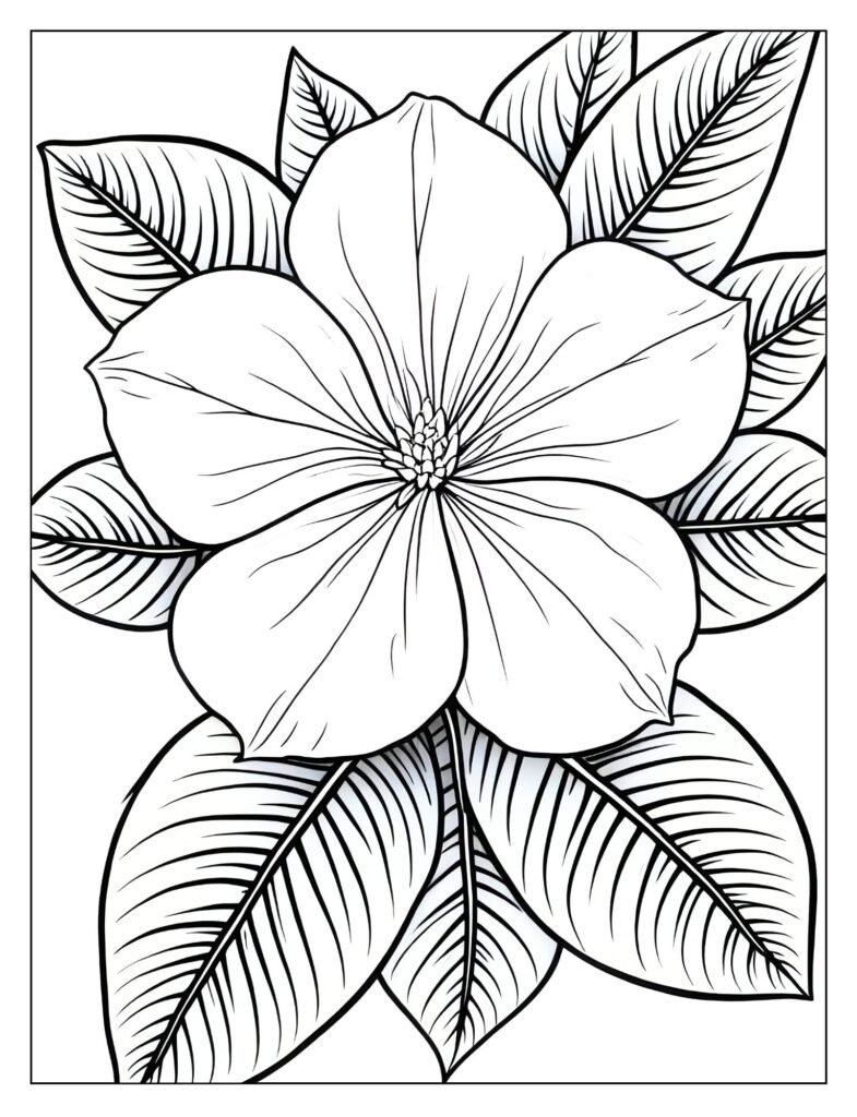 Drawing of the white, highly fragrant Tiare Gardenia flower, focusing on its six or eight perfectly symmetrical petals.