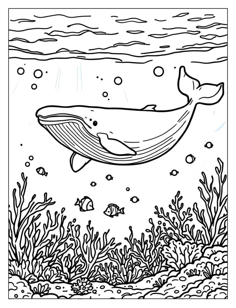 A humpback whale swimming in warm, clear tropical waters with bright sunlight and colorful coral visible below.