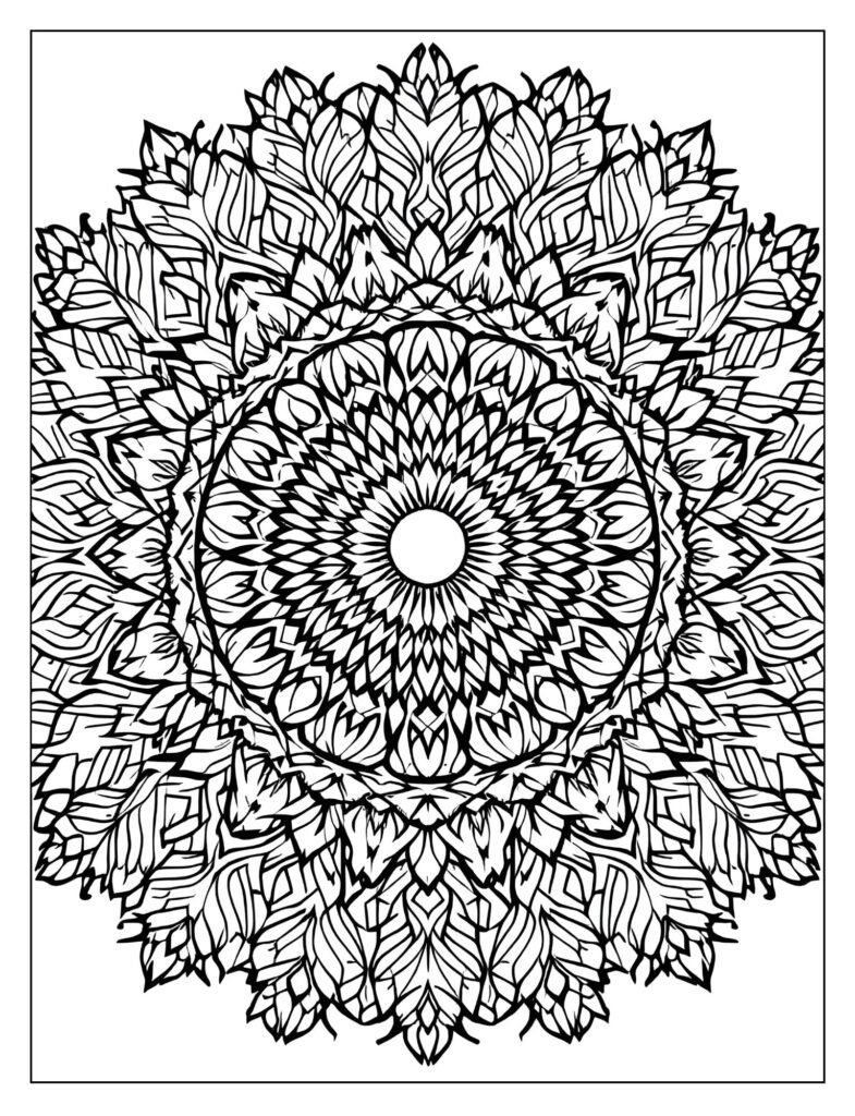 A circular, symmetrical Mandala design constructed from the repeating shapes of turkey feathers.