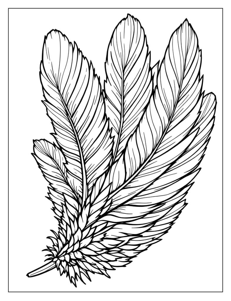 Layered arrangement of several large turkey wing feathers fanned slightly open.