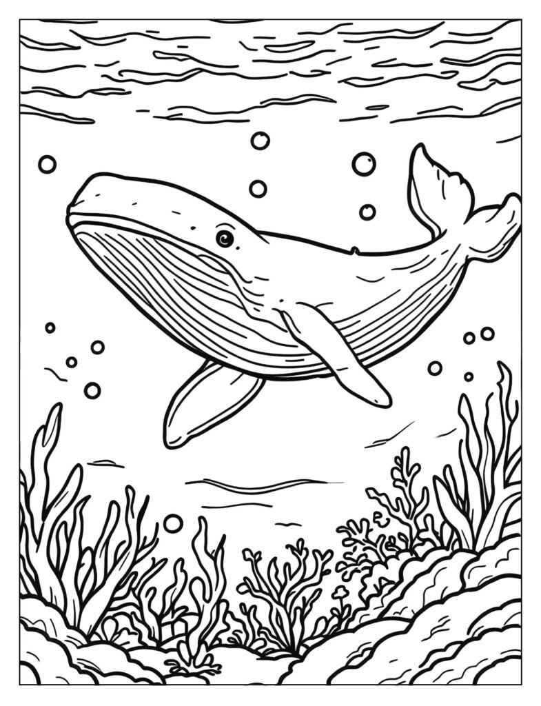 A humpback whale swimming gracefully underwater with its massive, scalloped flippers extended wide.